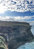 Royal national park coastal walk