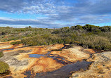 Royal national park coastal walk