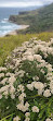 Royal national park coastal walk