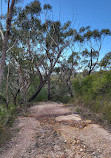 Temptation Creek Trail