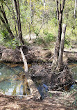 Temptation Creek Trail