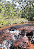 Temptation Creek Trail