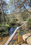 Temptation Creek Trail