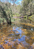 Temptation Creek Trail