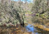 Temptation Creek Trail