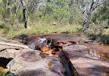 Temptation Creek Trail