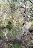 Temptation Creek Trail