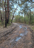 Temptation Creek Trail