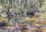 Temptation Creek Trail