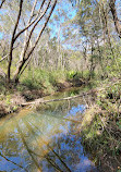 Temptation Creek Trail