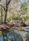 Temptation Creek Trail