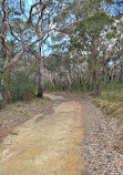 Temptation Creek Trail