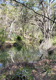 Temptation Creek Trail