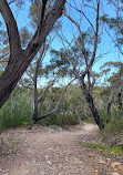 Temptation Creek Trail