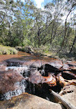 Temptation Creek Trail