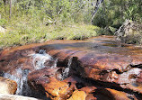 Temptation Creek Trail