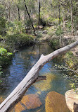 Temptation Creek Trail