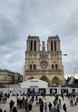 Cathédrale Notre-Dame de Paris