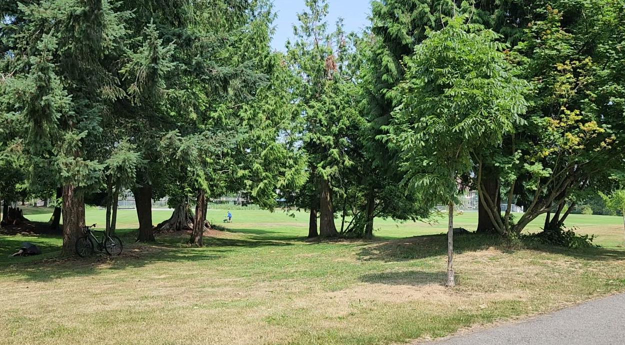 Bakerview Park