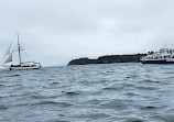 Fundy Tide Runners Whale Watch