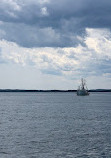 Fundy Tide Runners Whale Watch