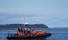 Fundy Tide Runners Whale Watch