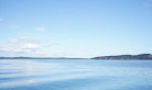 Fundy Tide Runners Whale Watch