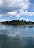 Fundy Tide Runners Whale Watch