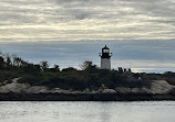 Cape Ann Whale Watch