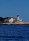 Cape Ann Whale Watch