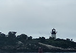 Cape Ann Whale Watch