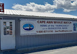 Cape Ann Whale Watch