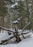 Kahshe Barrens Trail