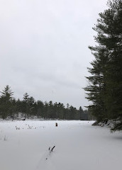 Kahshe Barrens Trail