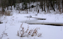 Kahshe Barrens Trail