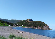 Parcheggio sul sentiero sul lungomare di OBIEC Bottle Cove