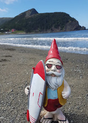 Parcheggio sul sentiero sul lungomare di OBIEC Bottle Cove