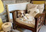 The Cotswolds Dogs & Cats Home