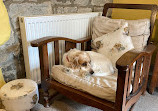 The Cotswolds Dogs & Cats Home