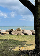 Spiaggia pubblica di Bayfield Street