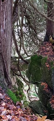 Sentiero montano del Libano