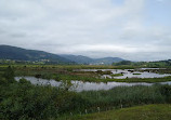 Urdaibai Bird Center