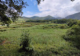 Urdaibai Bird Center