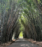 Parque Ibirapuera