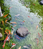 Parque Ibirapuera