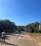 Parque Ibirapuera