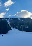 Whistler Blackcomb