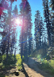 Lake Louise Ski Resort & Summer Gondola