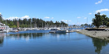 Vancouver Aquarium Café