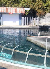 Vancouver Aquarium Café